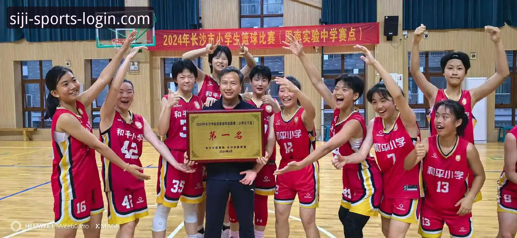 揭秘2024年四季体育用户评价：这些真实体验背后的创新突破